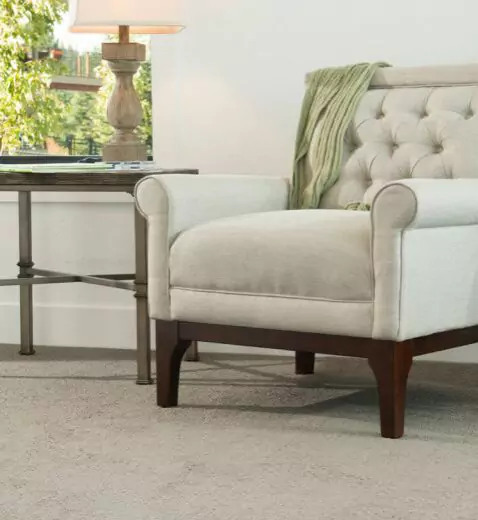 Professional Carpet Cleaning | Yetzer Home Store