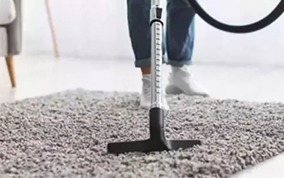 Rug care | Yetzer Home Store