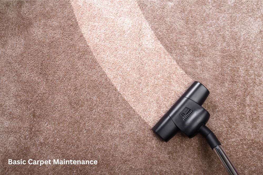 Carpet cleaning | Yetzer Home Store