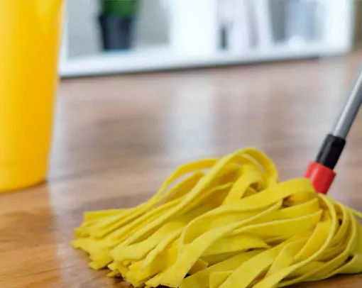Vinyl floor cleaning | Yetzer Home Store