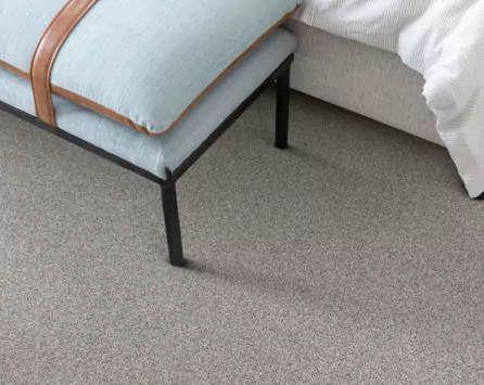 Carpet | Yetzer Home Store