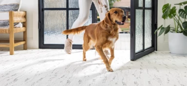 flooring | Yetzer Home Store